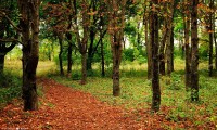 世界短跑青少年夏训奖励计划：优秀学员获国家队观察名额，国际短跑冠军