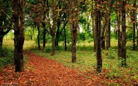 世界短跑青少年夏训奖励计划：优秀学员获国家队观察名额，国际短跑冠军