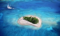世界短跑科研成果转播：训练模型助力教练实操落地，世界短跑视频